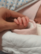 人类幼崽的手有多好看gif搞笑图片