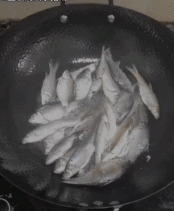 一锅纯正的鱼汤gif搞笑图片