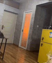 在家烧菜的景象gif搞笑图片