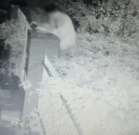 门开了你们进吧gif搞笑图片