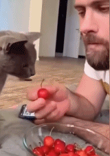 合作愉快gif搞笑图片