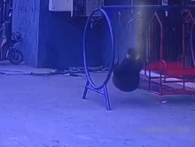 秋千都不会玩了gif搞笑图片