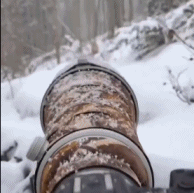 雪地中可爱的狐狸谁看谁迷糊-搞笑gif动态图片-izike
