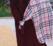 一起跳支双人舞gif搞笑图片