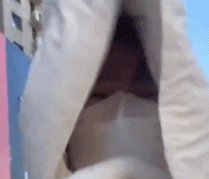 算是把风玩明白了gif搞笑图片