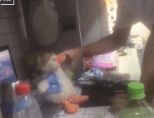 今天你陪我聊天gif搞笑图片