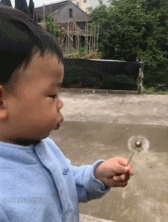 这是这么玩的嘛？gif搞笑图片