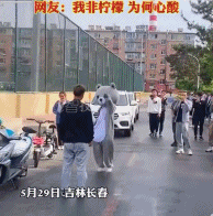 羡慕别人的爱情gif搞笑图片