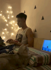 你认真的样子让人羡慕-搞笑gif动态图片-izike
