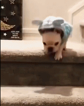 表演个杂技下楼gif搞笑图片