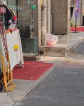 完成瘦身训练gif搞笑图片