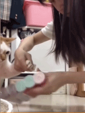 不剪爪的好处gif搞笑图片