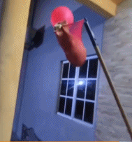 铲屎官的“第三只手”gif搞笑图片