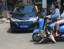 两条腿也要跑gif搞笑图片