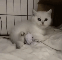 最难控制的是脚gif搞笑图片