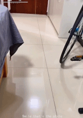 路上咋还有陷阱gif搞笑图片