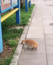 看到了节后的我gif搞笑图片