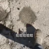 小丑竟是我自己gif搞笑图片