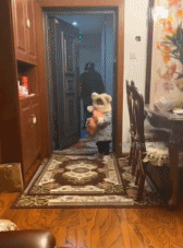 我太年轻世界太危险gif搞笑图片