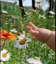 肉嘟嘟的小手gif搞笑图片