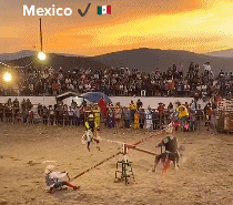 墨西哥斗牛新玩法gif搞笑图片