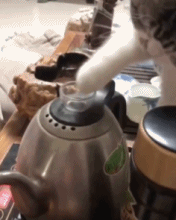 让我看看里面有啥gif搞笑图片