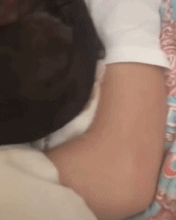 每天被猫老大欺压gif搞笑图片