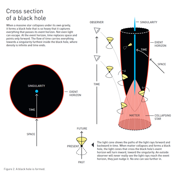 　　黑洞的形成 （左上） 黑洞横截面 当一颗巨大的恒星在自身引力作用下塌缩时，它会形成一个质量很大的黑洞，捕获穿越其事件视界的一切东西。哪怕是光都无法逃离黑洞。在事件视界中，时间取代空间，所有路径向内指。时间流将一切带向黑洞最深处的奇点——在这里，密度是无限的，时间也止于此。 （右下） 光锥表示光线在时间上向前和向后的路径。当物质塌缩并形成黑洞时，穿过黑洞事件视界的光锥将向内朝奇点运动。外部的观察者永远不会真正看到光线到达事件视界。他们看到的，只是光线接近事件视界。之后的就没有人能看到。