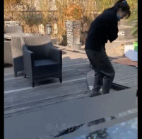 突破水面下线gif搞笑图片