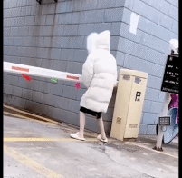 这还能磕一下gif搞笑图片