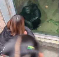 失散多年的姐妹gif搞笑图片