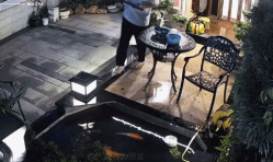 殃及鱼池的跟头gif搞笑图片