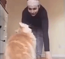 让你知道谁是老大gif搞笑图片