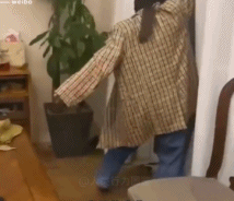 窗外的人儿看过来gif搞笑图片