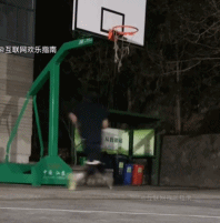 力的作用是相互的gif搞笑图片