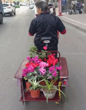骑三轮车卖花的奶奶-搞笑gif动态图片-izike