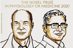 2021诺贝尔生理学或医学奖揭晓：温度和触觉感受器研究获奖