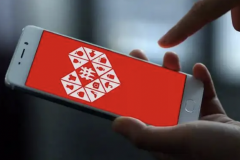 拼多多第三季度营收215.1亿元 市场预期264.74亿元