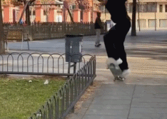 非常无辜的摄影师gif搞笑图片