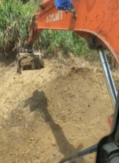 彻底的倾倒gif搞笑图片