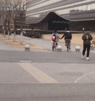 图书馆外的甜甜恋爱gif搞笑图片