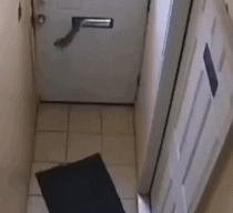 偷东西太不赶时机了gif搞笑图片