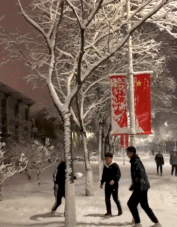 千树万树梨花开-搞笑gif动态图片-izike