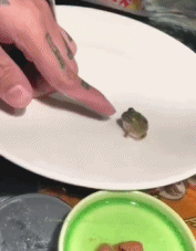 这就是绿豆蛙超级小-搞笑gif动态图片-izike