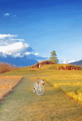 动漫般的田园gif搞笑图片