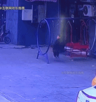 这都能摔下来gif搞笑图片