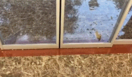 这不是赶上了吗gif搞笑图片