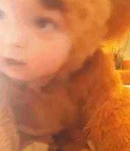 收获一只可爱熊gif搞笑图片