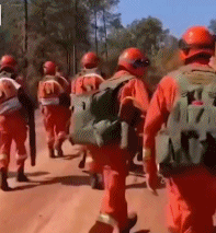 他们不仅是男人也是男孩gif搞笑图片