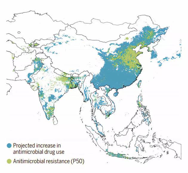 蓝色代表着抗生素使用量增长区域，绿色代表着抗生素抵抗严重区域
